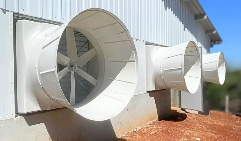 3 fans.webp