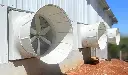 3 fans.webp