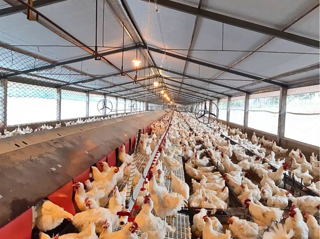 AutoNest A5 EN6.webp