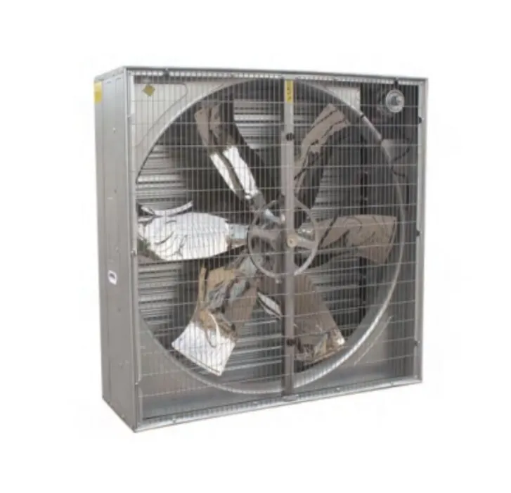 fan 50inch .webp