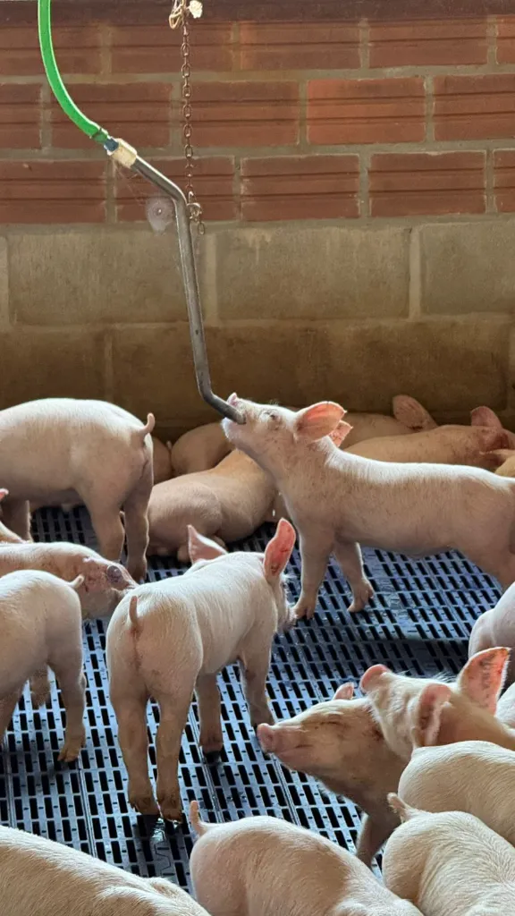 WhatsApp Image 2026-02-06 at 08.40.09 (2).webp