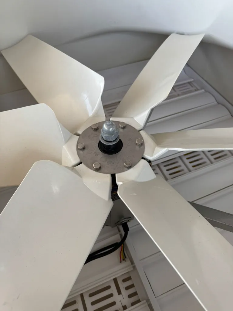 WhatsApp Image 2026-01-29 at 08.46.39 (2).webp