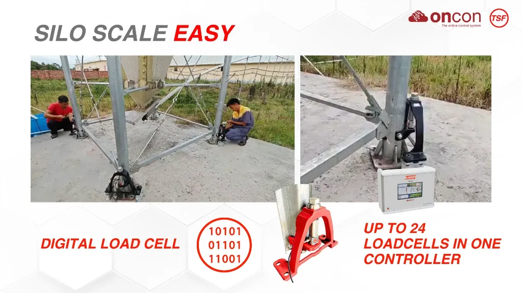 Temu Sales PPT4.webp