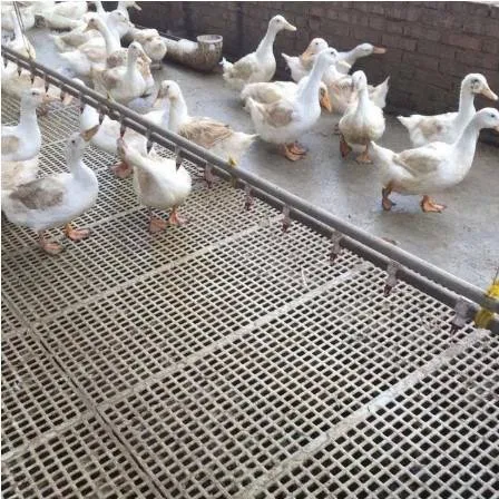 Duck-floor4.webp