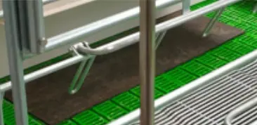 Tapete para leitões - Maternidade 3,0x1,0mt